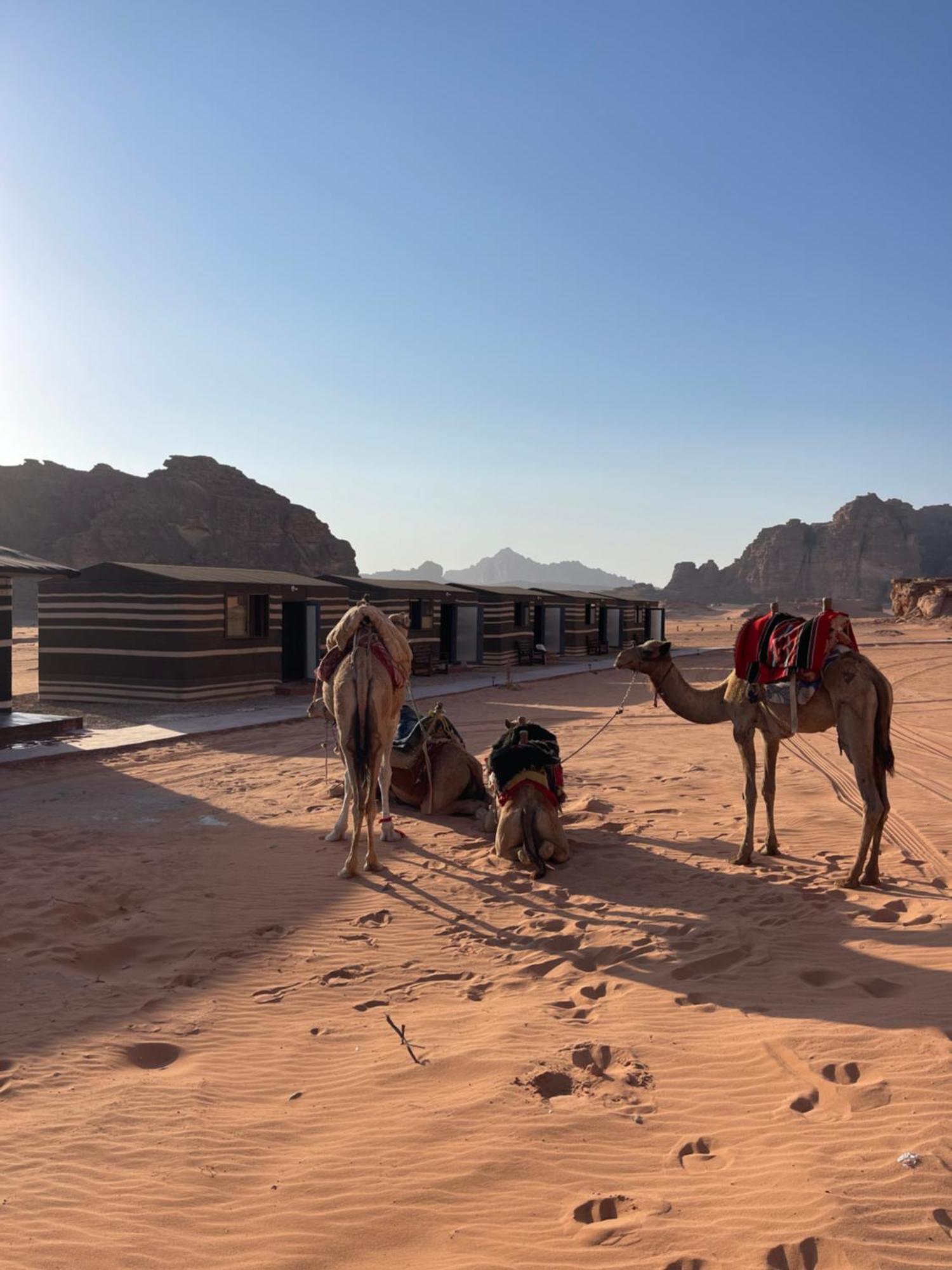 מלון Wadi Rum Magic Camp מראה חיצוני תמונה